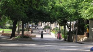 עובדי עיריית כפר סבא